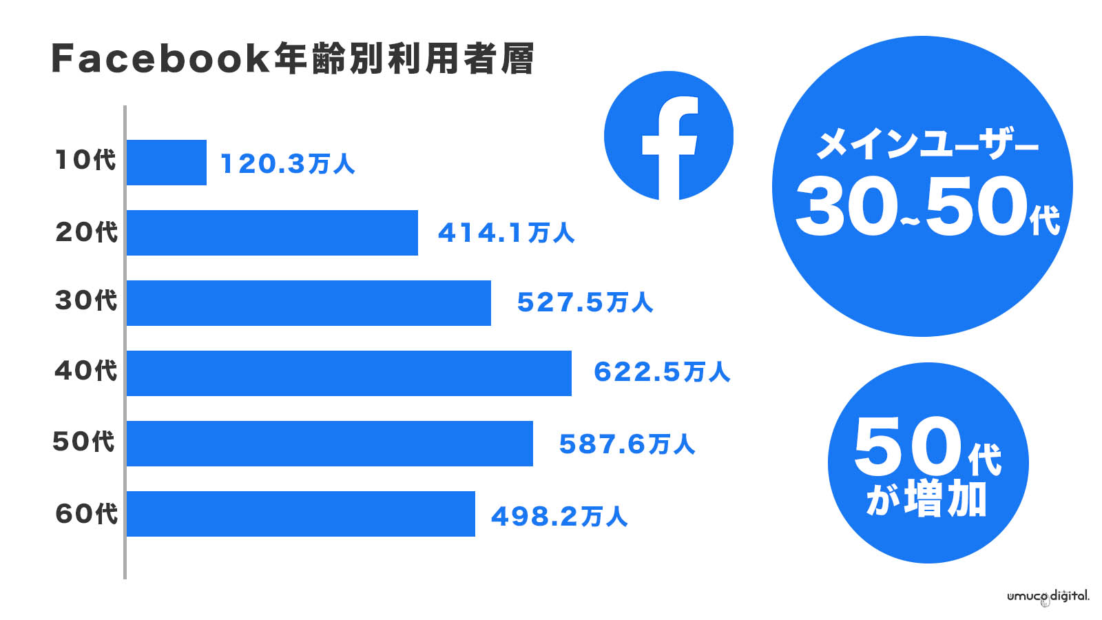 facebook国内利用者数年齢層